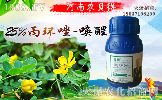 河南農貝得農業(yè)科技有限公司