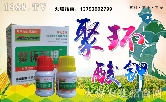 濟(jì)南瑞生生物工程有限公司1