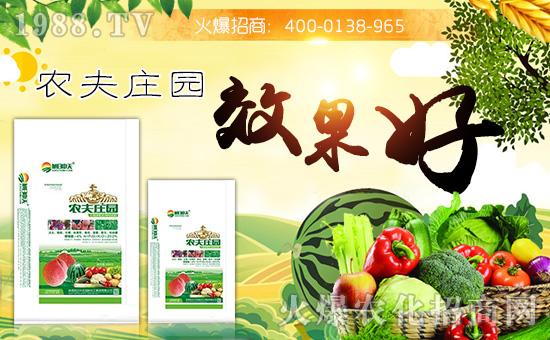 ������������(gu��)�H�������F(tu��n)���޹�˾