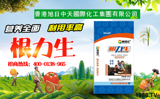 ������������(gu��)�H�������F(tu��n)���޹�˾1