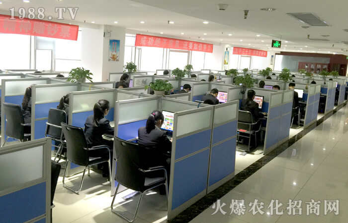 全力以赴,跟隨火爆去遠航……