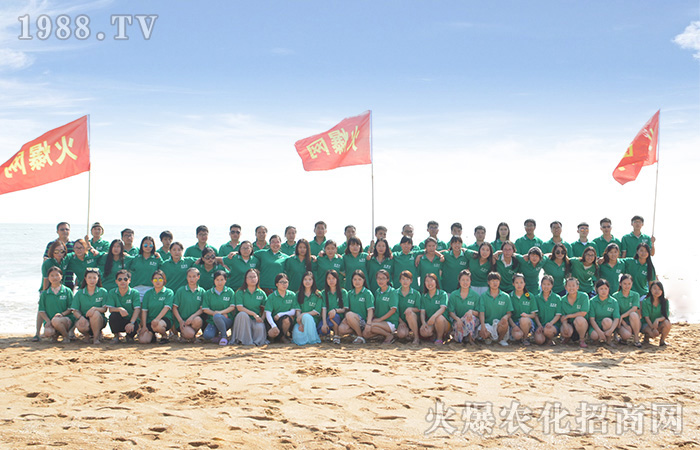 2017年,把日子過好,讓生活不再糟糕