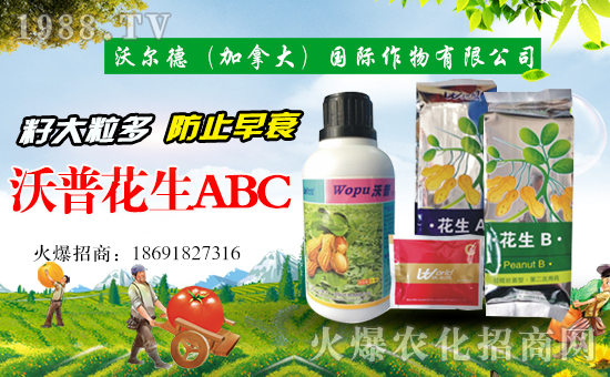 �֠��£����ô󣩇��H�������޹�˾3