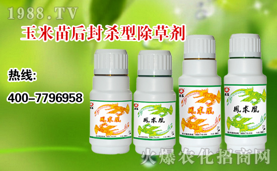 ������r(n��ng)�I(y��)��ף��ң��Ҹ��f���L���옷�o߅�������\(y��n)��������