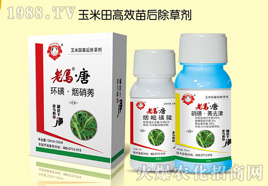 ������r(n��ng)�I(y��)��ף��ң��Ҹ��f���L���옷�o߅�������\(y��n)��������