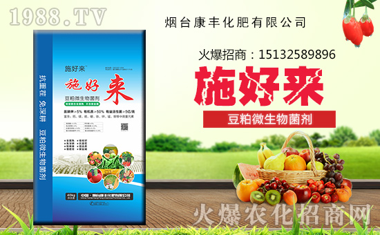 �����_���S���ʡ�ף������w�������H�Қg����