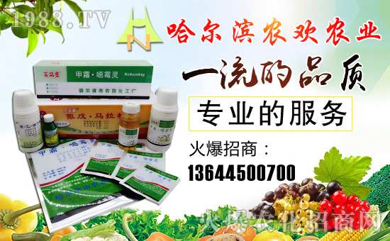 哈爾濱農(nóng)歡農(nóng)業(yè)科技有限公司