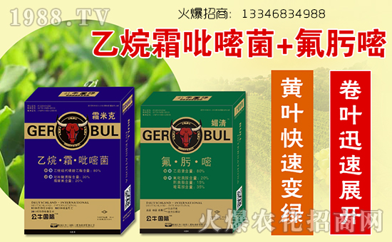 ��(gu��)��ţ����(gu��)�H��ֲ�ﱣ�o(h��)���޹�˾