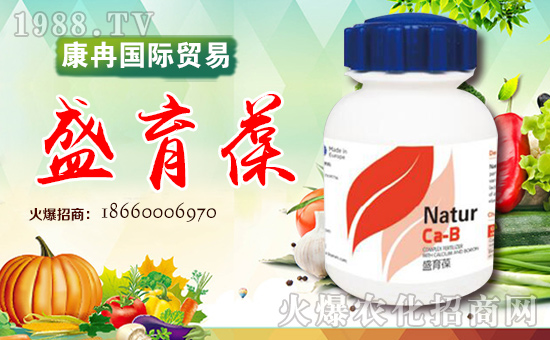 煙臺康冉國際貿(mào)易有限公司3