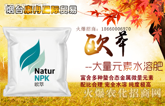 煙臺康冉國際貿(mào)易有限公司5