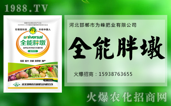 �����ʘI(y��)���o����������ף���´������f�����⣡