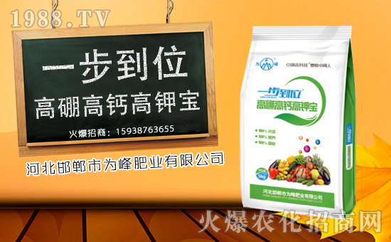 �����ʘI(y��)���o����������ף���´������f��������