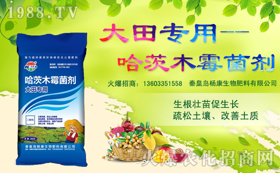 秦皇島楊康生物肥料有限公司1