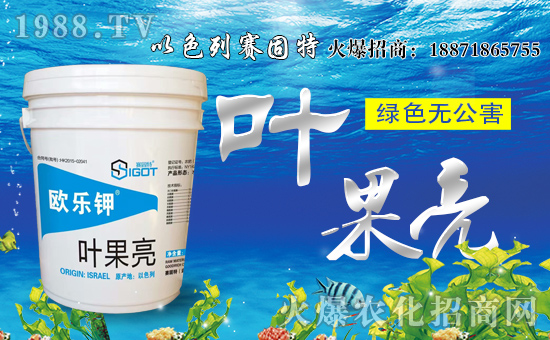 【賽固特】恭祝新老客戶雞年行大運(yùn),財(cái)源滾滾來(lái)!