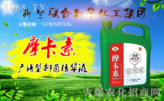 荷蘭聯(lián)合利華化工集團(tuán)