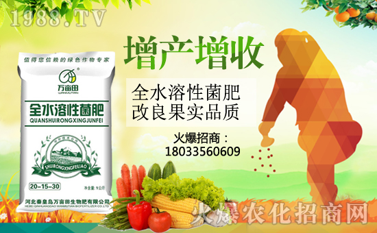 �ػʍu�f������������޹�˾2