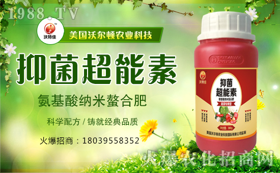 ������(gu��)�֠��D����ף�������옷(l��)���f(w��n)�����⣡