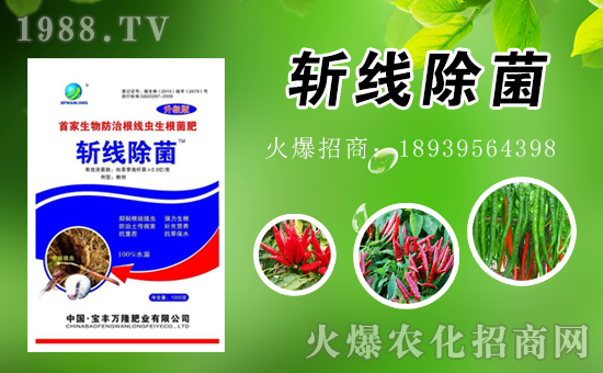 寶豐萬(wàn)隆全體員工祝大家新年好!