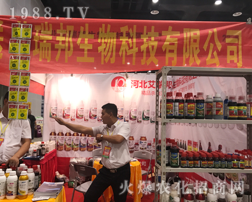 �ӱ��������2017���ό��r(n��ng)�Y��¡������