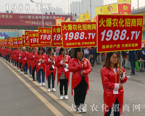 2017��ɽ�|ֲ�������r(n��ng)������Ч������