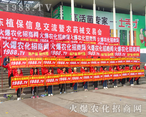 2017ɽ�|ʡֲ���������r(n��ng)�����̾W(w��ng)�ل�(chu��ng)�x��