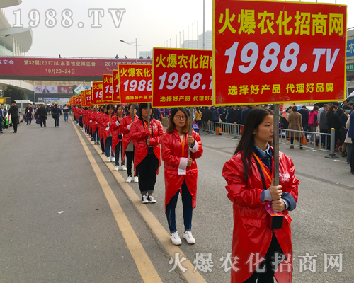 2017ɽ�|ֲ�����ו������cͻ�@��1988.TV�ɽ��c��