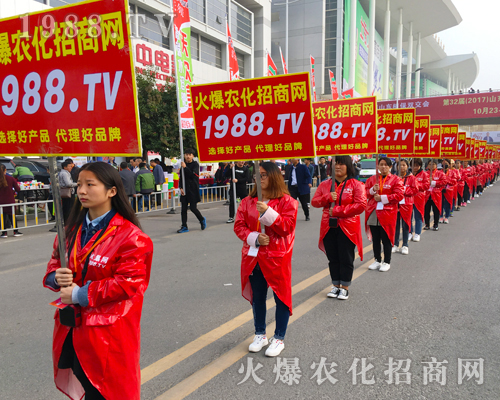 ��������(zh��n)����̤�������r(n��ng)���W(w��ng)����(zh��n)��23��ɽ�|ֲ����