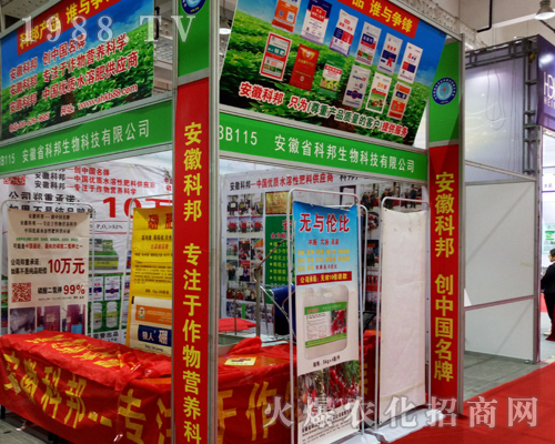 ����ʡ�ư�