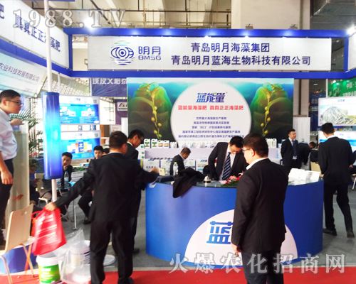 2017ɽ�|ֲ�����ו����u���º��弯�F��ԃ����