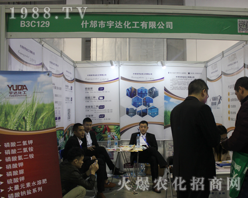 ʲ�����_����