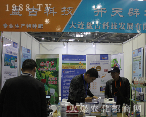 ���B�P���ڵ�33���Ї�ֲ���p�������W���l(f��)��