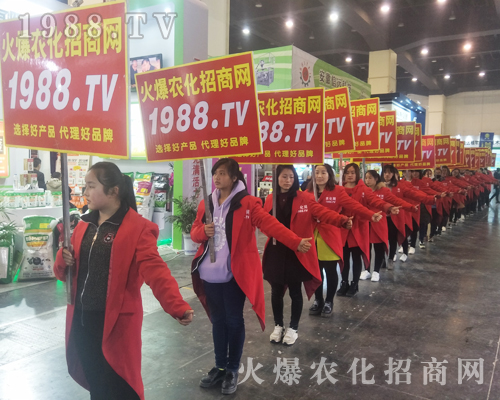 2017����Ϸ����p������1988.TV�����»���