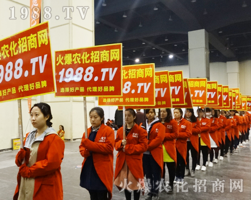     2017����ԭ���ϕ���1988.TV�����������ݲ��ɓ�