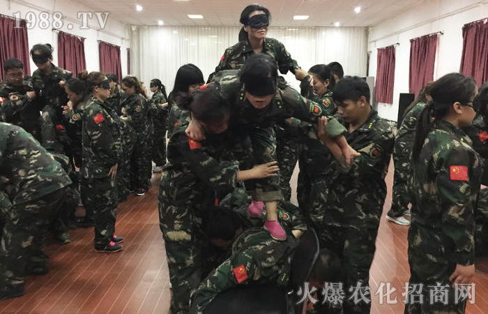 ���𱬾W(w��ng)2017�����X��Ӗ(x��n)���I�����Y(ji��)