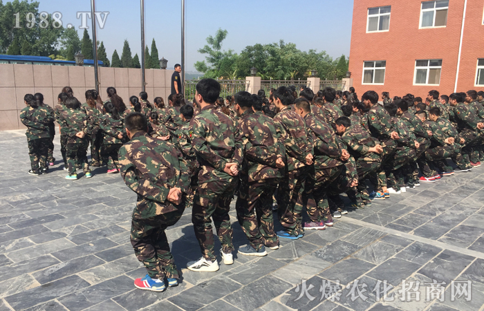 ���w�O�޵�����(zh��n)�������ϴ�Y