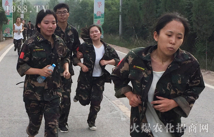 �ԉ����R���Ժ���Ȫ��������������ؓ���A