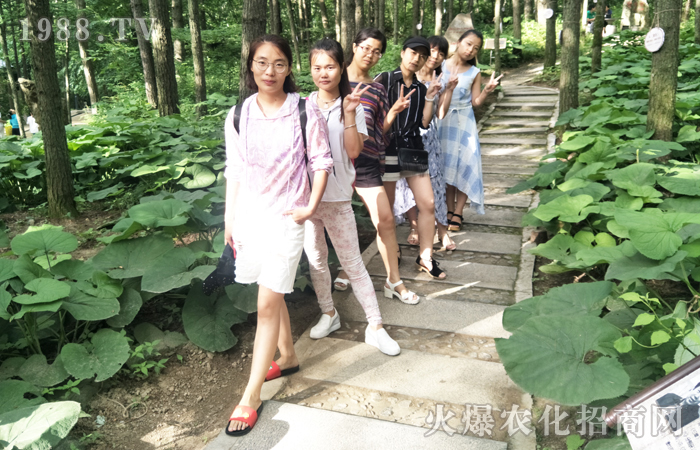 �o������ ���_�K�c