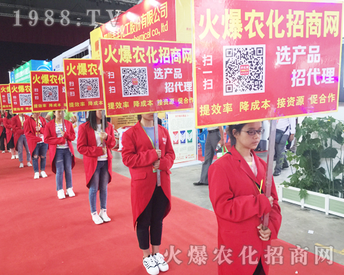 2017�����r�Y���[��