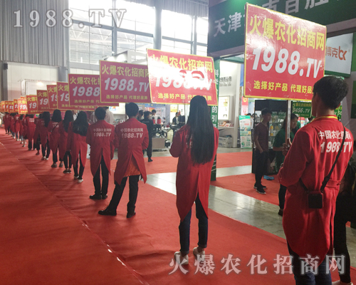  2017�����r(n��ng)�Y����1988.TV�������F(xi��n)�����P(gu��n)ע��