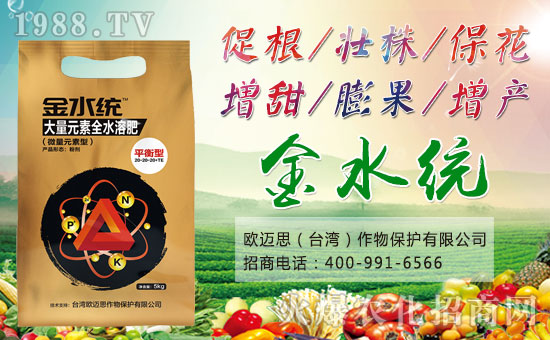 ���W�~˼��ȫ�w�T����ףȫ����(j��ng)�N�����w���������꼪����