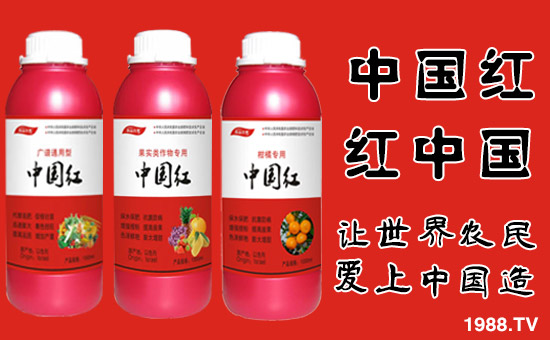 �����ϼ�������ȫ�w�T����ף�������옷(l��)������������