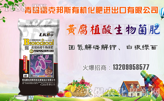 ���׿˰�˹��ף������µ�һ�����Ҹ����M���H�Қg����