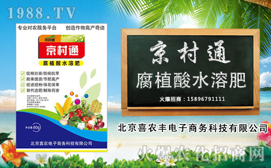 ��ϲ�r(n��ng)�S��ӡ�ף������µ�һ�������w�������f��������