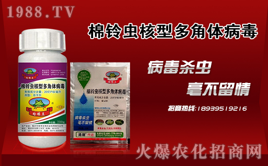 ���¹چ̵ϡ�ף������µ�һ�����f�����⣬�������