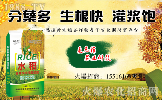 �����˷��r(n��ng)�I(y��)��ף��ҹ�������f�����⣡