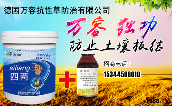 �����f�ݡ�ȫ�w�T����ףȫ����(j��ng)�N�����w����������l(f��)��ؔ(c��i)��