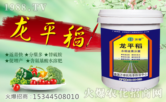 �����f�ݡ�ȫ�w�T����ףȫ����(j��ng)�N�����w����������l(f��)��ؔ(c��i)��