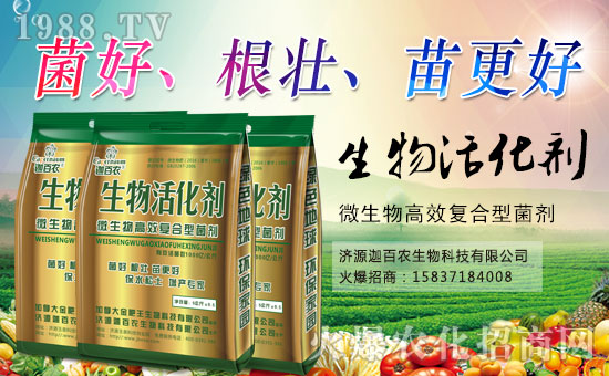 ���Ȱ��r(n��ng)����ף����´��옷���Ҹ�������