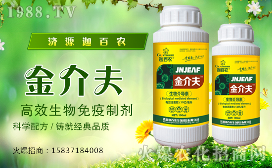 ���Ȱ��r(n��ng)����ף����´��옷���Ҹ�������