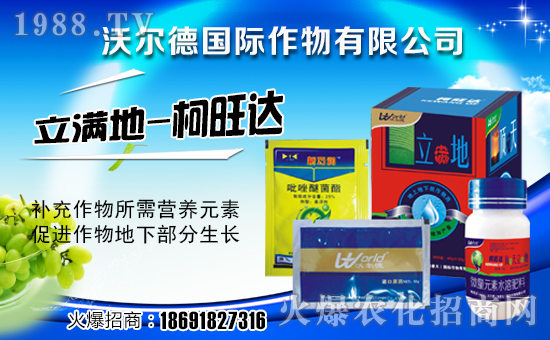 ���֠����H���ף��ҹ������������������